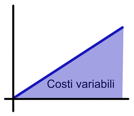 la rappresentazione grafica dei costi variabili è una linea obliqua