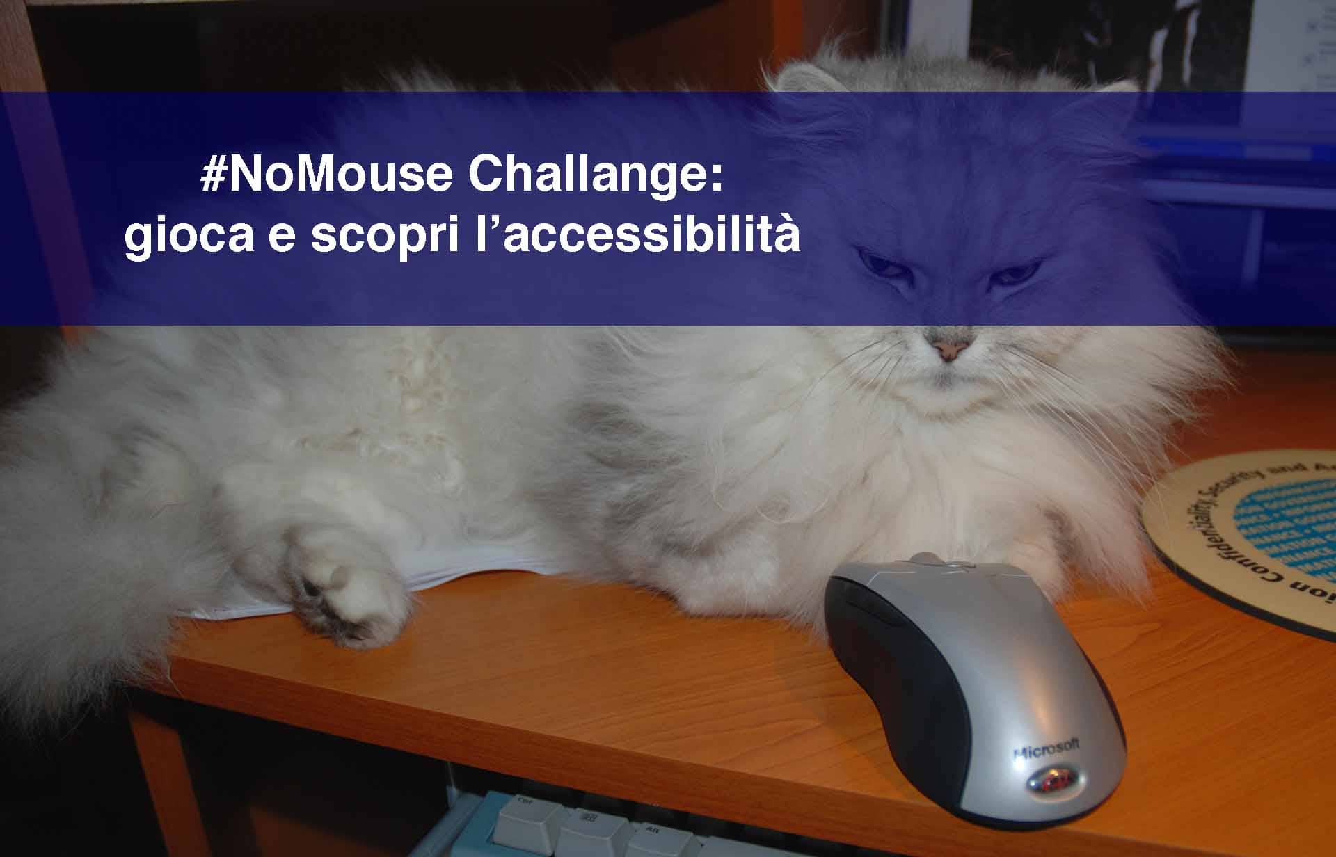#NoMouse Challenge: gioca e scopri l’accessibilità